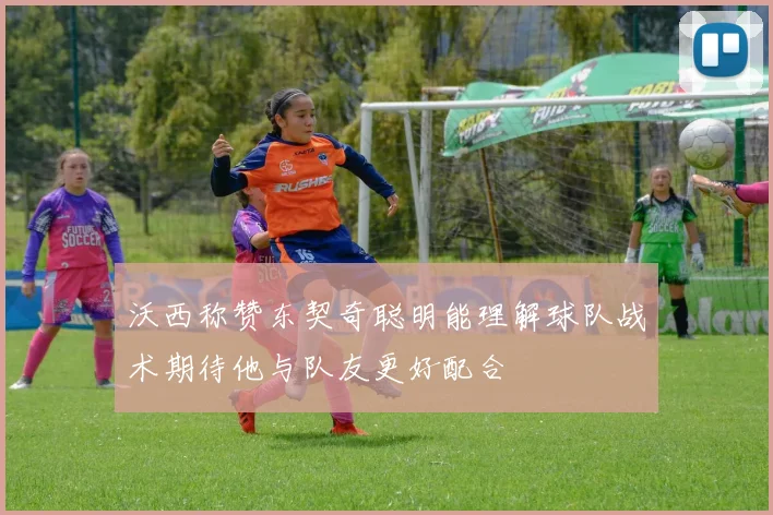沃西称赞东契奇聪明能理解球队战术期待他与队友更好配合
